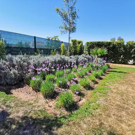 Apartament Albufeiramar Albufeira